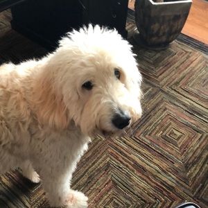 Meet your Posher, Terri